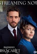 斯嘉麗小姐探案集 第六季