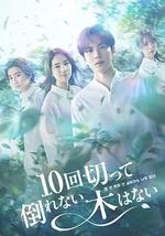 沒有砍十次還不倒的樹