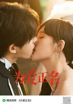 為愛正名