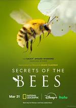 蜜蜂的秘密
