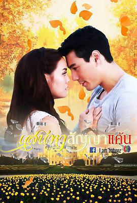 愛恨之約(เสน่หาสัญญาแค้น)