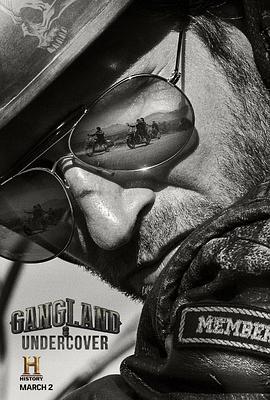 黑幫卧底 第二季(Gangland Undercover Season 2)