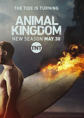 野獸家族 第二季(Animal Kingdom Season 2)