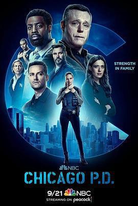 芝加哥警署 第十季(Chicago P.D. Season 10)