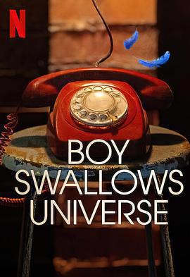 吞下宇宙的男孩(Boy Swallows Universe)