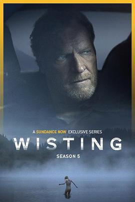 警探維斯廷 第五季(Wisting Season 5)