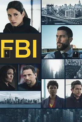 聯邦調查局 第九季(FBI Season 9)