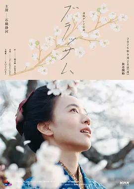 花朵盛開(ブラッサム)