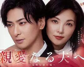 致親愛的丈夫~完美妻子的謊言~(親愛なる夫へ～完璧な妻の噓～)