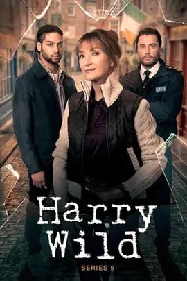 野探哈莉 第五季(Harry Wild Season 5)